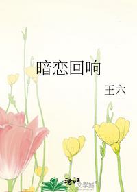 暗恋回响